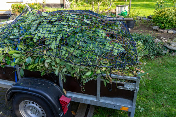Best Hoarding Cleanup  in Flora, IL